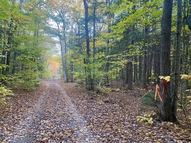 6 Willis Bean Rd Unit 2, 4, Eaton, NH 03832 - photo 63