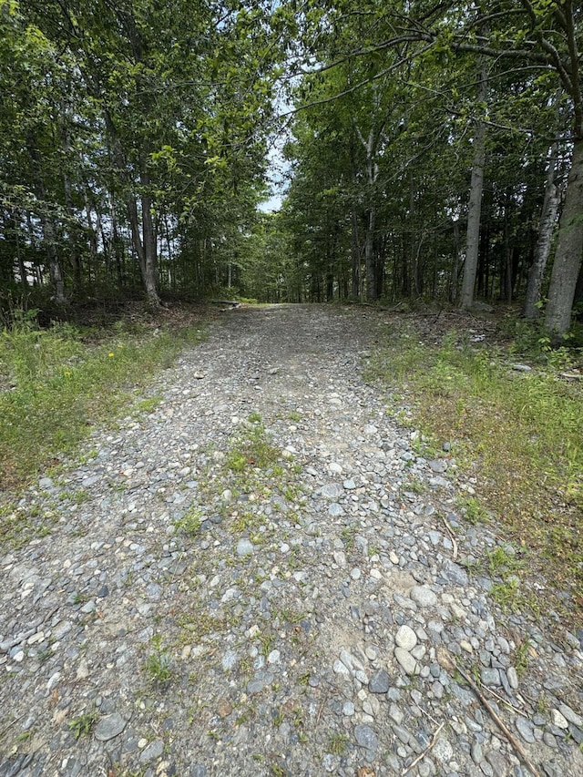 1242 Canaan Rd, Skowhegan, ME 04976 - photo 28
