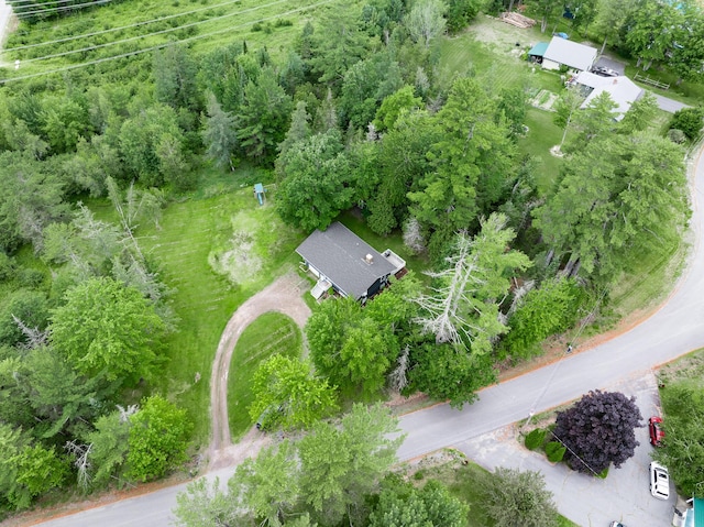 12 Hemlock Ln, Milford, ME 04461 - photo 29