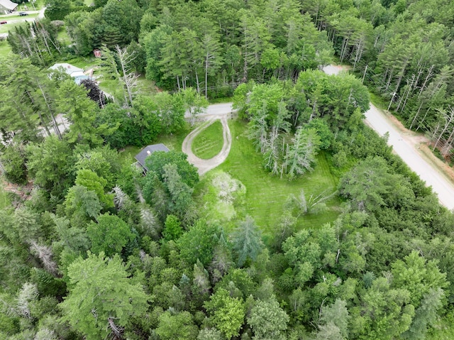 12 Hemlock Ln, Milford, ME 04461 - photo 30