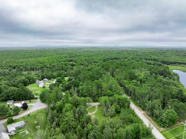 12 Hemlock Ln, Milford, ME 04461 - photo 31