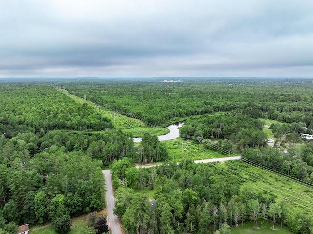 12 Hemlock Ln, Milford, ME 04461 - photo 33