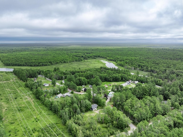12 Hemlock Ln, Milford, ME 04461 - photo 38