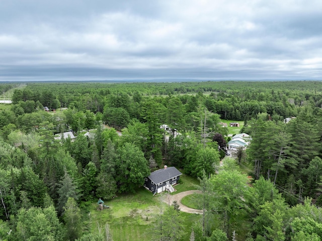 12 Hemlock Ln, Milford, ME 04461 - photo 39