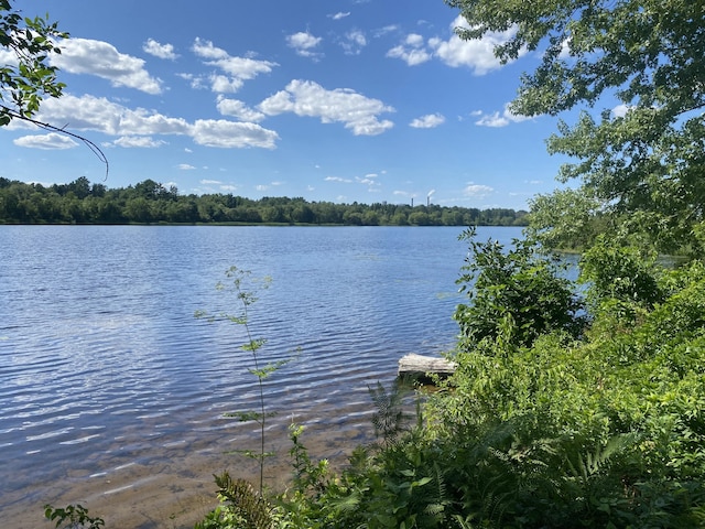 1690 River Rd, Clinton, ME 04927 - photo 29