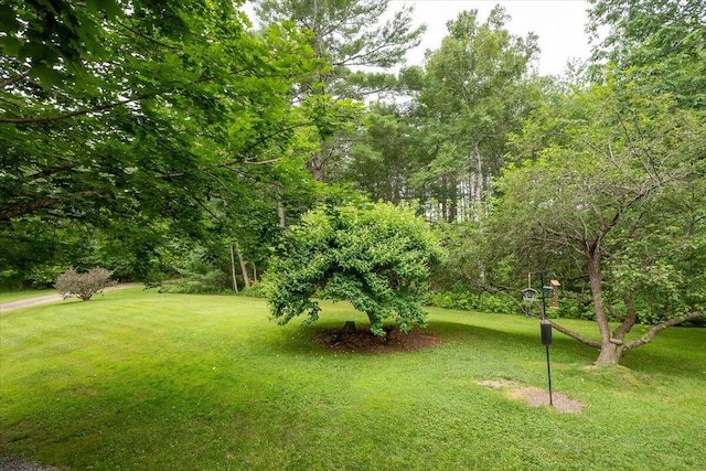 478 Carroll Rd, Warren, ME 04864 - photo 50