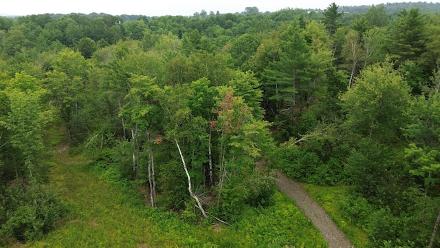 168 Back Deer Hill Rd, China, ME 04358 - photo 6