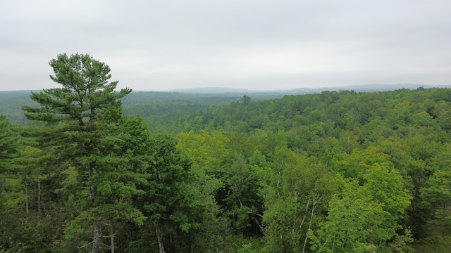 168 Back Deer Hill Rd, China, ME 04358 - photo 9