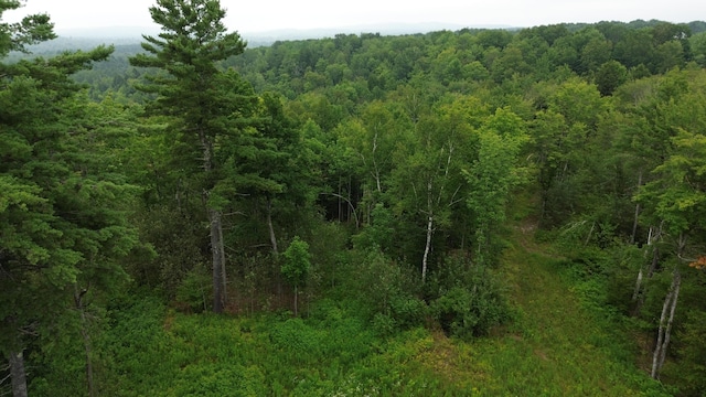 168 Back Deer Hill Rd, China, ME 04358 - photo 13