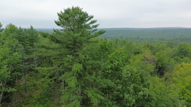 168 Back Deer Hill Rd, China, ME 04358 - photo 34