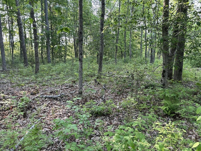 168 Back Deer Hill Rd, China, ME 04358 - photo 28