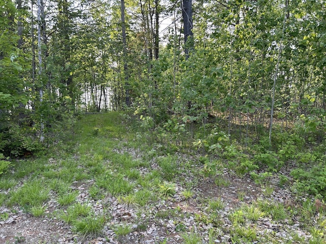 168 Back Deer Hill Rd, China, ME 04358 - photo 29