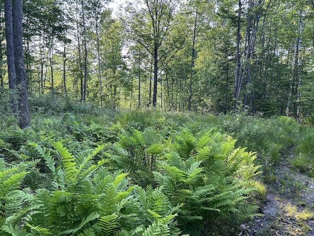 168 Back Deer Hill Rd, China, ME 04358 - photo 30