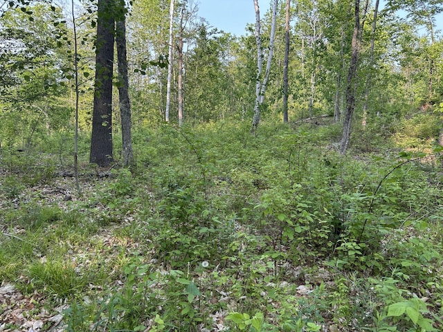 168 Back Deer Hill Rd, China, ME 04358 - photo 23