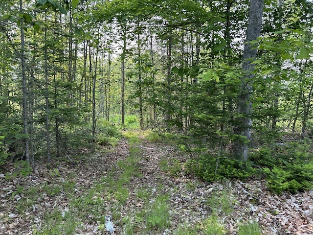 168 Back Deer Hill Rd, China, ME 04358 - photo 26