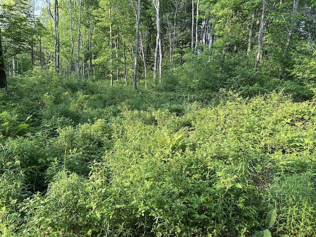 168 Back Deer Hill Rd, China, ME 04358 - photo 22