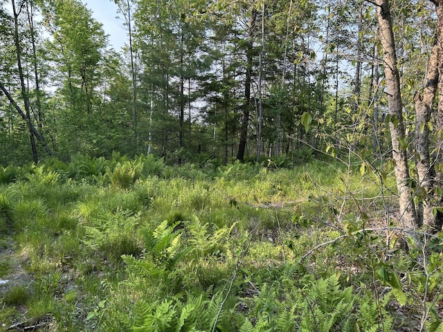 168 Back Deer Hill Rd, China, ME 04358 - photo 20