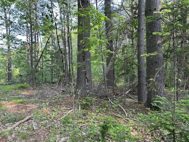 168 Back Deer Hill Rd, China, ME 04358 - photo 19
