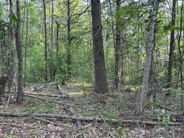 168 Back Deer Hill Rd, China, ME 04358 - photo 16