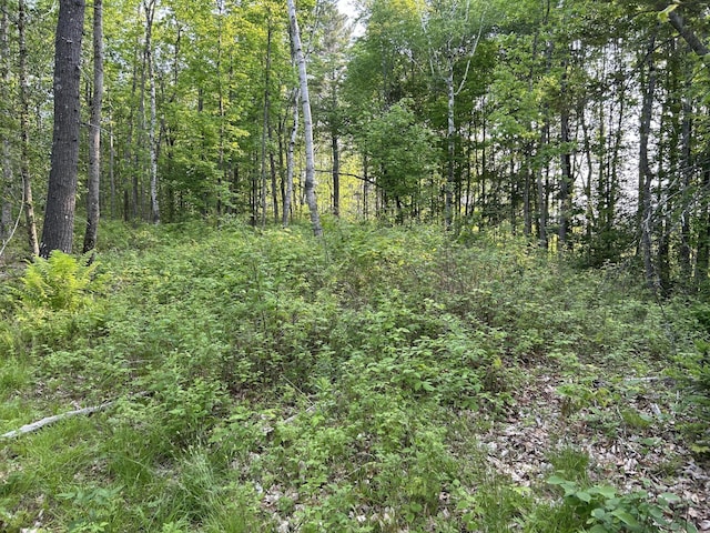 168 Back Deer Hill Rd, China, ME 04358 - photo 15