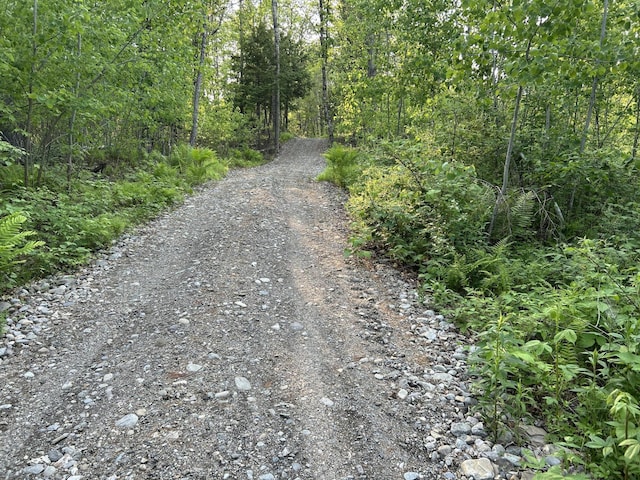 168 Back Deer Hill Rd, China, ME 04358 - photo 7