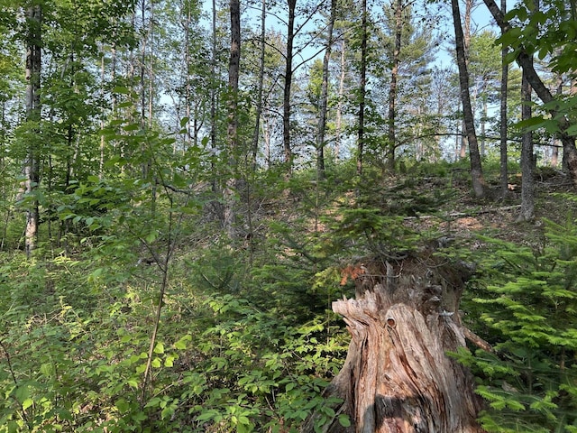 168 Back Deer Hill Rd, China, ME 04358 - photo 2
