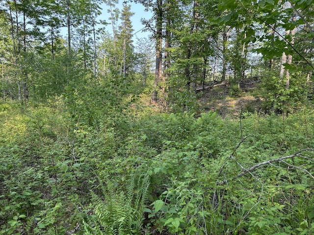 168 Back Deer Hill Rd, China, ME 04358 - photo 8