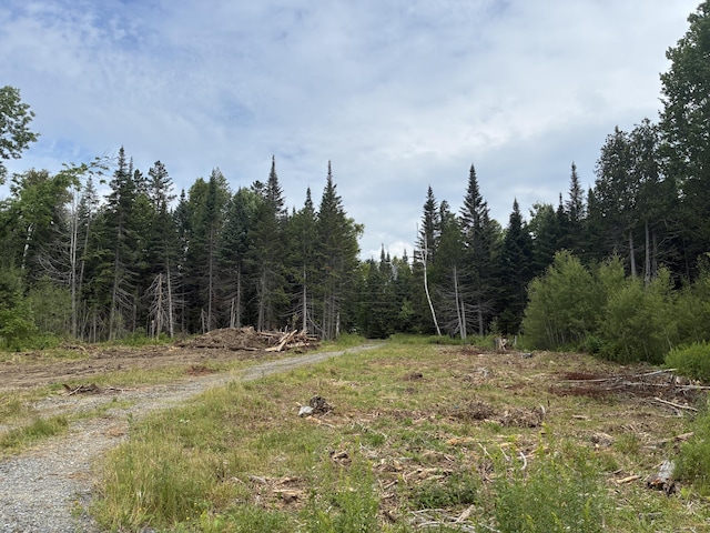 LOT56 Gile Rd, Rangeley, ME 04970 - photo 7