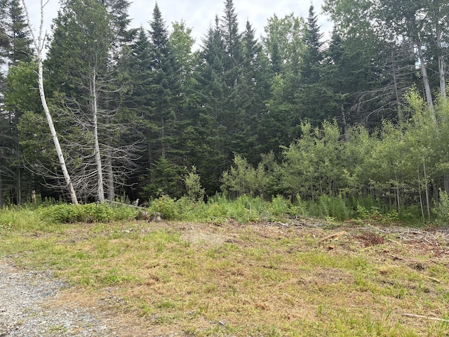 LOT56 Gile Rd, Rangeley, ME 04970 - photo 18