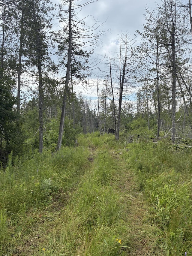 LOT56 Gile Rd, Rangeley, ME 04970 - photo 19