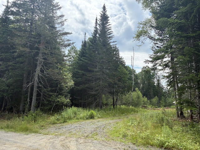 LOT56 Gile Rd, Rangeley, ME 04970 - photo 4