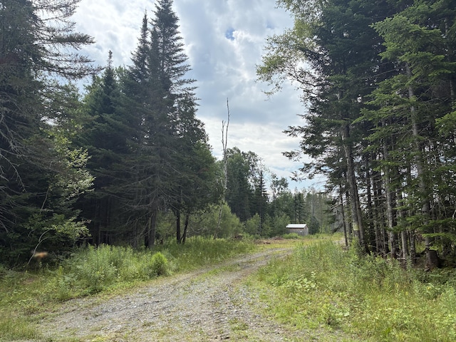 LOT56 Gile Rd, Rangeley, ME 04970 - photo 5