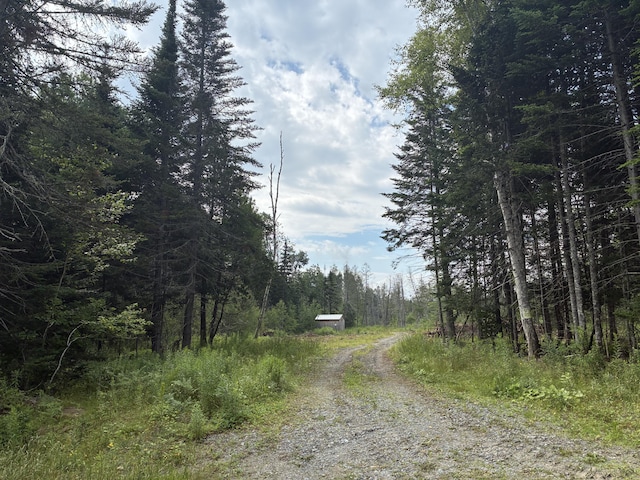 LOT56 Gile Rd, Rangeley, ME 04970 - photo 6