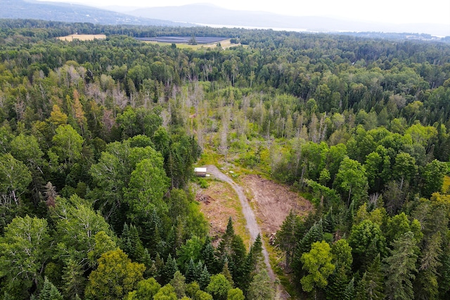 LOT56 Gile Rd, Rangeley, ME 04970 - photo 2