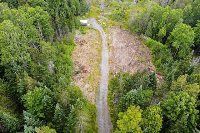 LOT56 Gile Rd, Rangeley, ME 04970 - photo 1