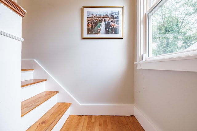 67 Boothby Ave, South Portland, ME 04106 - photo 28