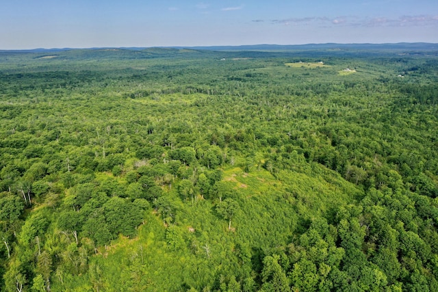 LOT26 Mariners Watch Rd, Northport, ME 04849 - photo 7