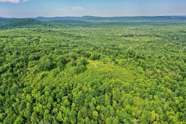 LOT26 Mariners Watch Rd, Northport, ME 04849 - photo 9