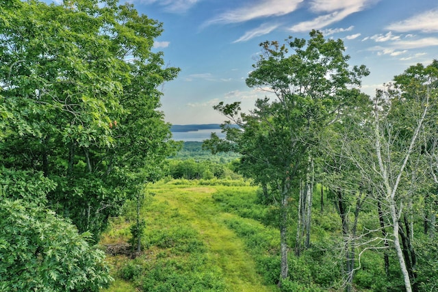 LOT26 Mariners Watch Rd, Northport, ME 04849 - photo 15