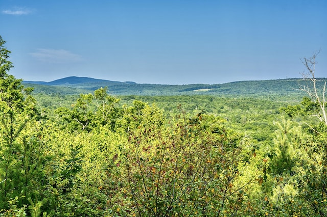 LOT26 Mariners Watch Rd, Northport, ME 04849 - photo 20
