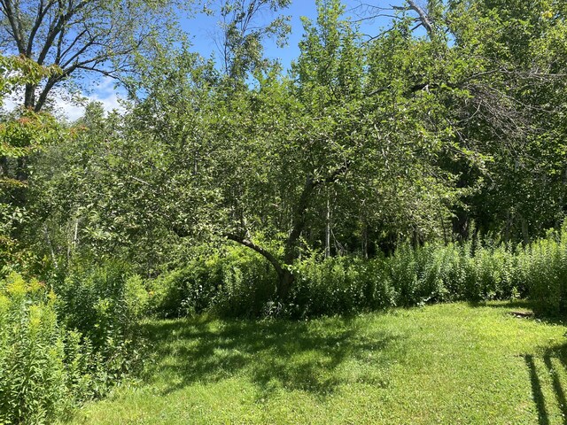 17 Mill Brook Ln, Blue Hill, ME 04614 - photo 39