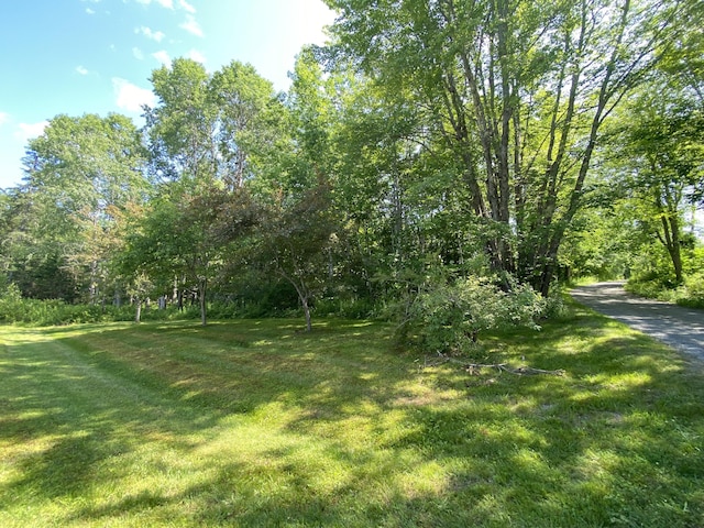 17 Mill Brook Ln, Blue Hill, ME 04614 - photo 40