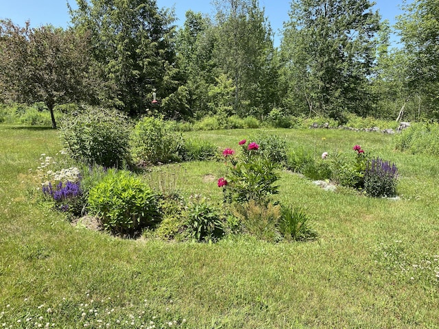 17 Mill Brook Ln, Blue Hill, ME 04614 - photo 44