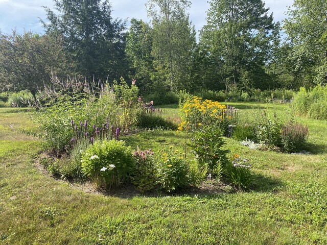 17 Mill Brook Ln, Blue Hill, ME 04614 - photo 46