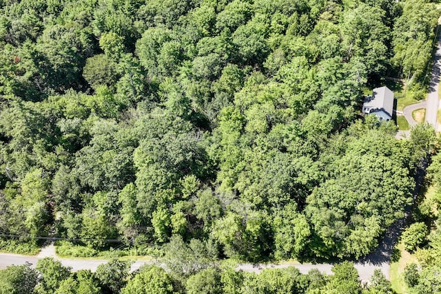 LOT716 Bluebird Rd, Warren, ME 04864 - photo 7