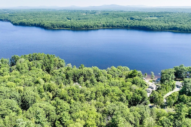 LOT716 Bluebird Rd, Warren, ME 04864 - photo 6