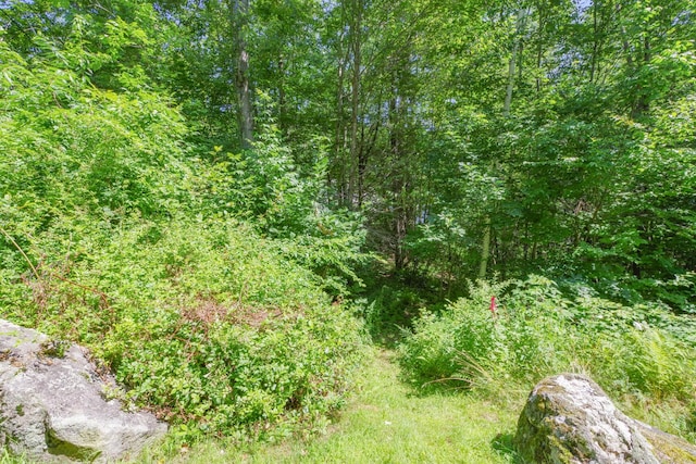 LOT716 Bluebird Rd, Warren, ME 04864 - photo 12