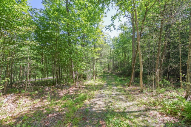 LOT716 Bluebird Rd, Warren, ME 04864 - photo 22