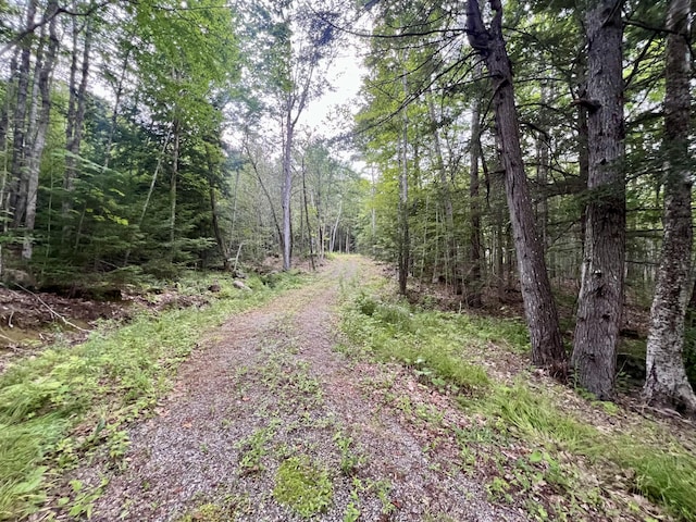 LOT716 Bluebird Rd, Warren, ME 04864 - photo 23