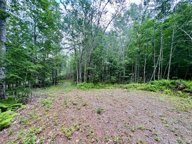 LOT716 Bluebird Rd, Warren, ME 04864 - photo 24